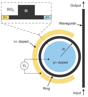 The Unrelenting Rise of Silicon Photonics: A Technological Odyssey