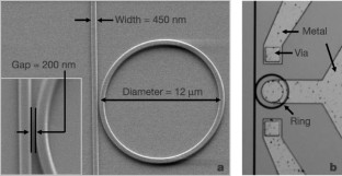 The Unrelenting Rise of Silicon Photonics: A Technological Odyssey